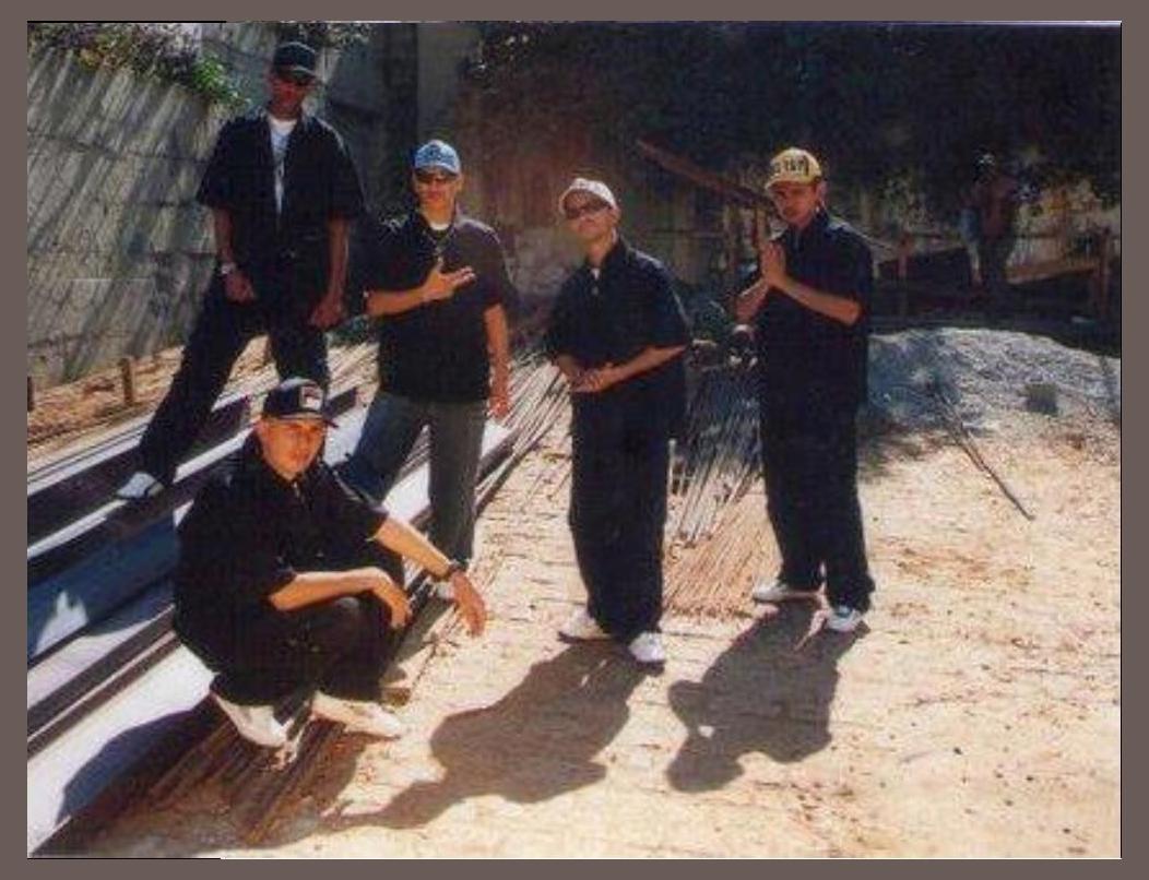 Alvos da Lei